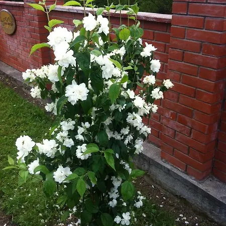 Hotel Золотая Подкова Славское Slavske